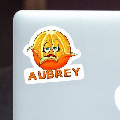 Orange Sticker Aubrey Gift package Image