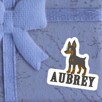 Pinscher Autocollant Aubrey Laptop Image