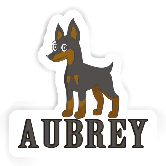 Pinscher Autocollant Aubrey Image