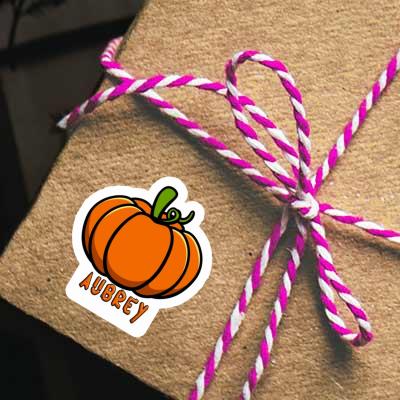 Pumpkin Sticker Aubrey Gift package Image