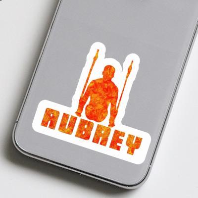 Aubrey Aufkleber Ringturner Laptop Image