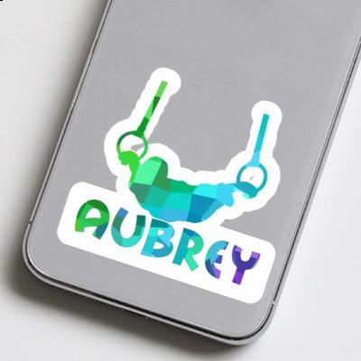 Sticker Ring gymnast Aubrey Gift package Image