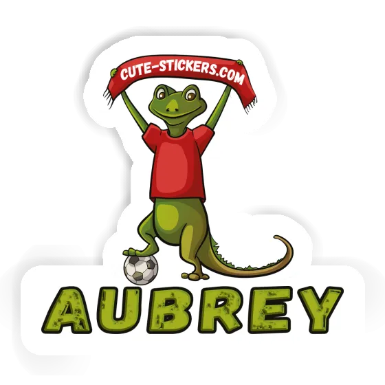 Aubrey Sticker Lizard Gift package Image