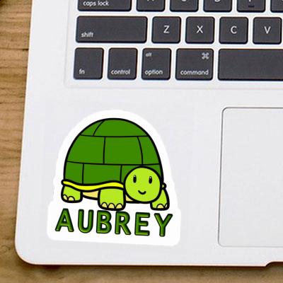 Sticker Schildkröte Aubrey Image