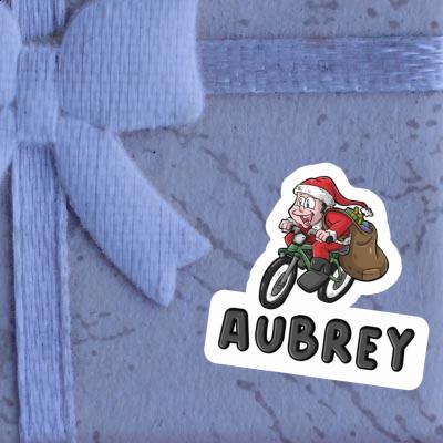 Bicycle Rider Sticker Aubrey Laptop Image