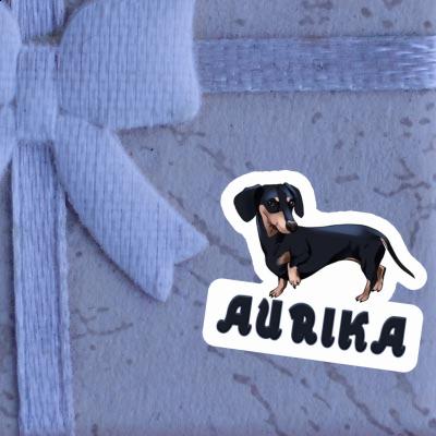 Teckel Autocollant Aurika Gift package Image
