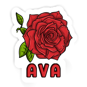 Autocollant Ava Rose Image