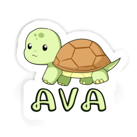 Autocollant Ava Tortue Image