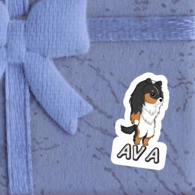 Ava Sticker Shetland Sheepdog Image
