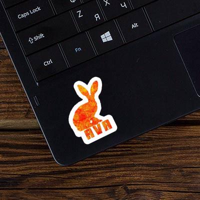 Autocollant Lapin Ava Notebook Image