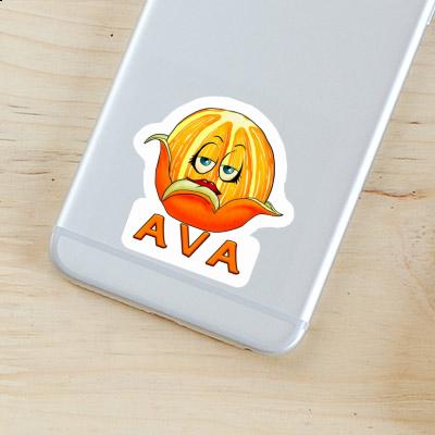 Orange Autocollant Ava Notebook Image