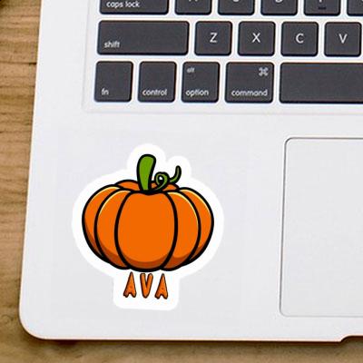 Autocollant Courge Ava Laptop Image