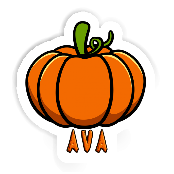 Autocollant Courge Ava Gift package Image