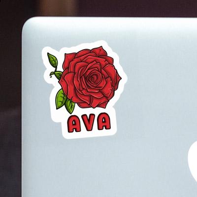 Autocollant Ava Rose Gift package Image
