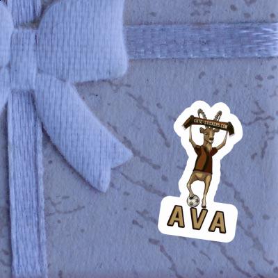 Autocollant Ava Bouquetin Laptop Autocollant Ava Bouquetin Laptop Image