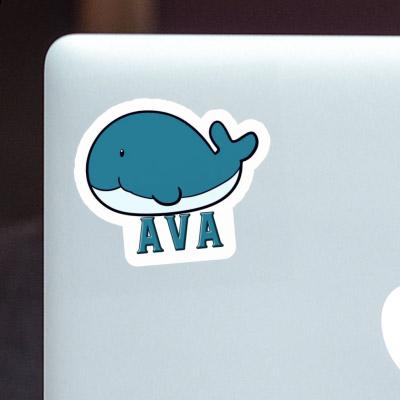Sticker Ava Whale Fish Laptop Sticker Ava Whale Fish Laptop Image