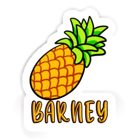 Pineapple Sticker Barney Image