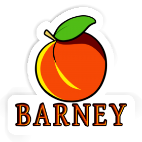 Barney Sticker Apricot Image