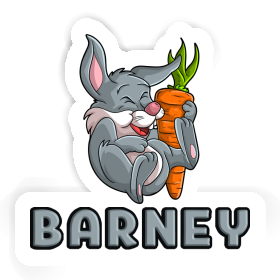 Sticker Rabbits Barney Image