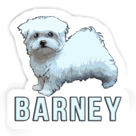 Barney Sticker Maltese Dog Image