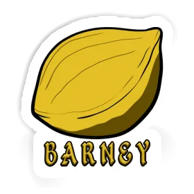 Barney Sticker Nut Image