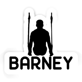 Ring gymnast Sticker Barney Image