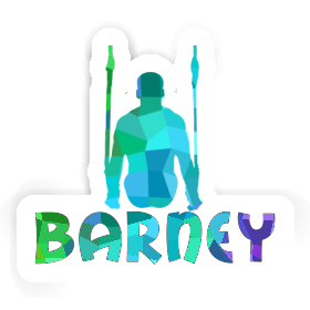 Barney Sticker Ring gymnast Image