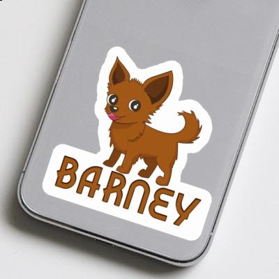 Sticker Chihuahua Barney Gift package Image