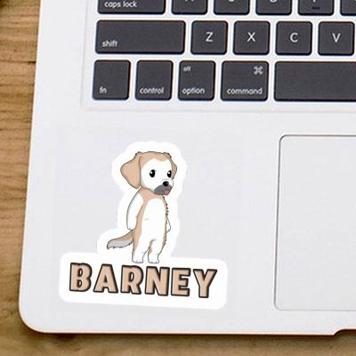 Barney Autocollant Golden Retriever Gift package Image