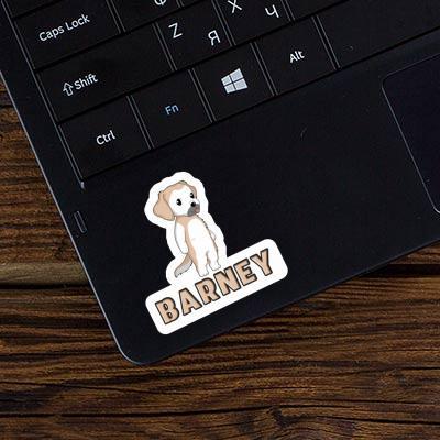 Barney Autocollant Golden Retriever Gift package Image