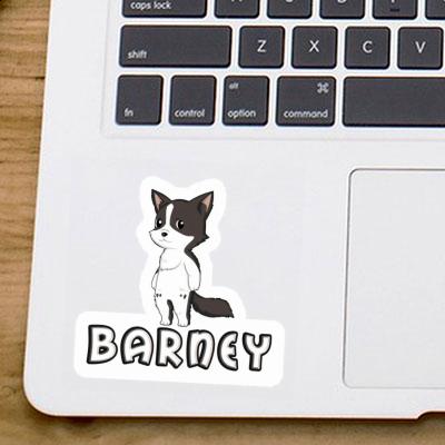 Barney Aufkleber Border Collie Gift package Image