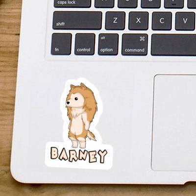 Sticker Barney Collie Gift package Image