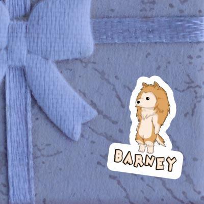 Sticker Barney Collie Gift package Image