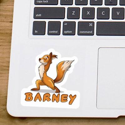 Barney Sticker Yoga Squirrel Gift package Image