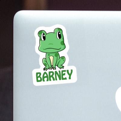 Frog Sticker Barney Gift package Image