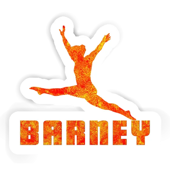 Gymnast Sticker Barney Gift package Image