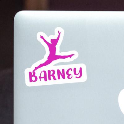 Barney Sticker Gymnastin Image