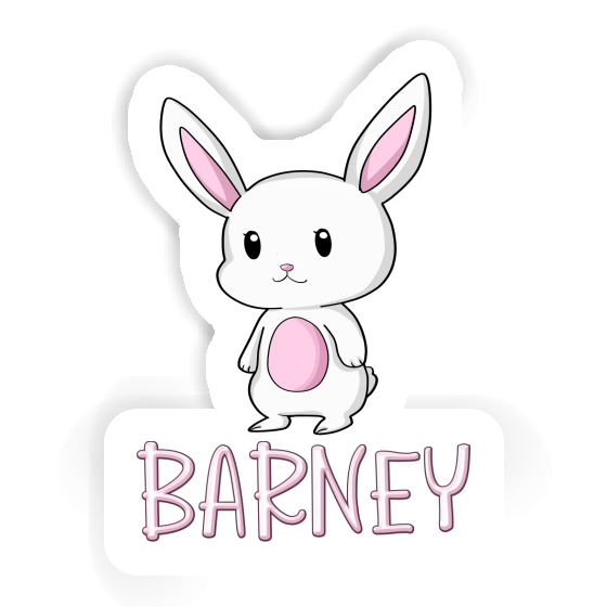 Sticker Rabbit Barney Gift package Image