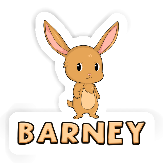 Rabbit Sticker Barney Gift package Image