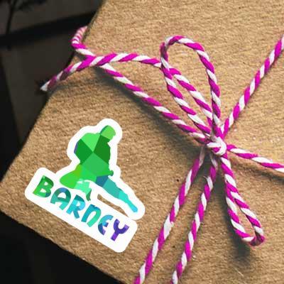 Aufkleber Karateka Barney Gift package Image