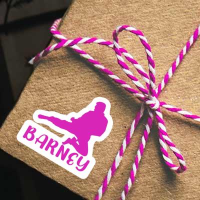 Sticker Karateka Barney Laptop Image