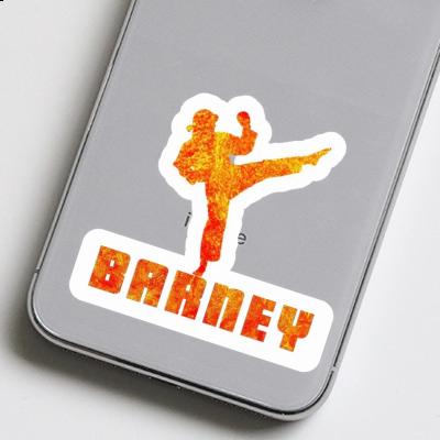 Sticker Barney Karateka Gift package Image