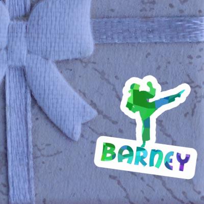 Barney Sticker Karateka Gift package Image