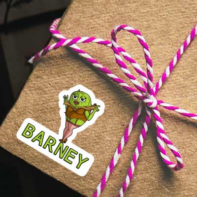 Sticker Barney Kiwi Image