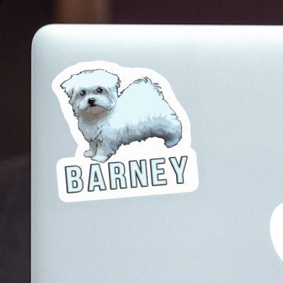 Sticker Malteserhund Barney Notebook Image