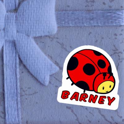 Barney Autocollant Coccinelle Gift package Image