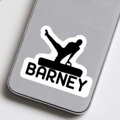 Sticker Gymnast Barney Notebook Image