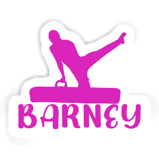 Gymnast Sticker Barney Gift package Image