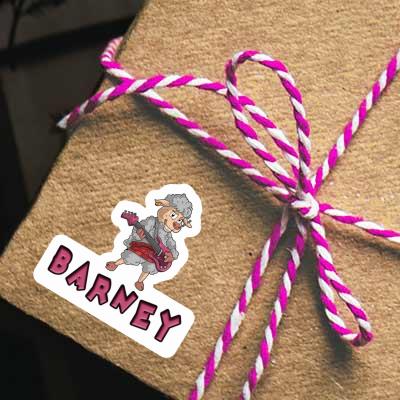 Barney Sticker Rockergirl Gift package Image