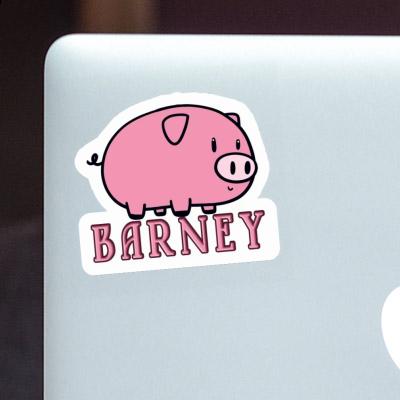 Pig Sticker Barney Image